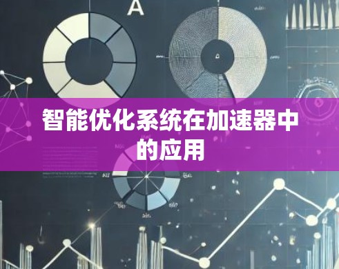 智能优化系统在加速器中的应用 智能优化系统在加速器中的应用