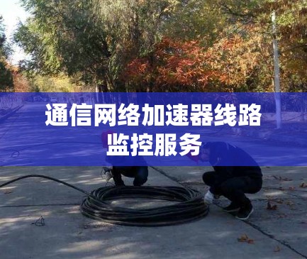 通信网络加速器线路监控服务 通信网络加速器线路监控服务