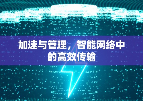 加速与管理,智能网络中的高效传输 加速与管理,智能网络中的高效传输