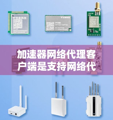 加速器网络代理客户端是支持网络代理功能的服务器,用于在特定网络上提供网络服务,通常在多个服务器上运行。以下是详细的步骤和注意事项