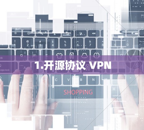 1.开源协议 VPN 1.开源协议 VPN