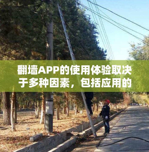 翻墙APP的使用体验取决于多种因素，包括应用的设置、用户的需求、网络环境以及个人偏好。以下是一些常见的问题和推荐，帮助你更好地了解和体验翻墙应用